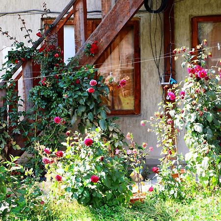Nadia Guesthouse Mestia Exterior foto